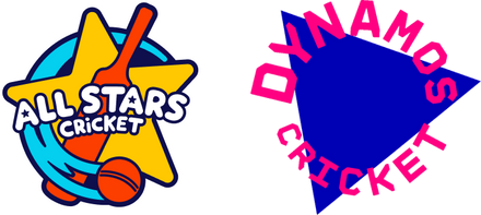 All stars & Dynamos Logo