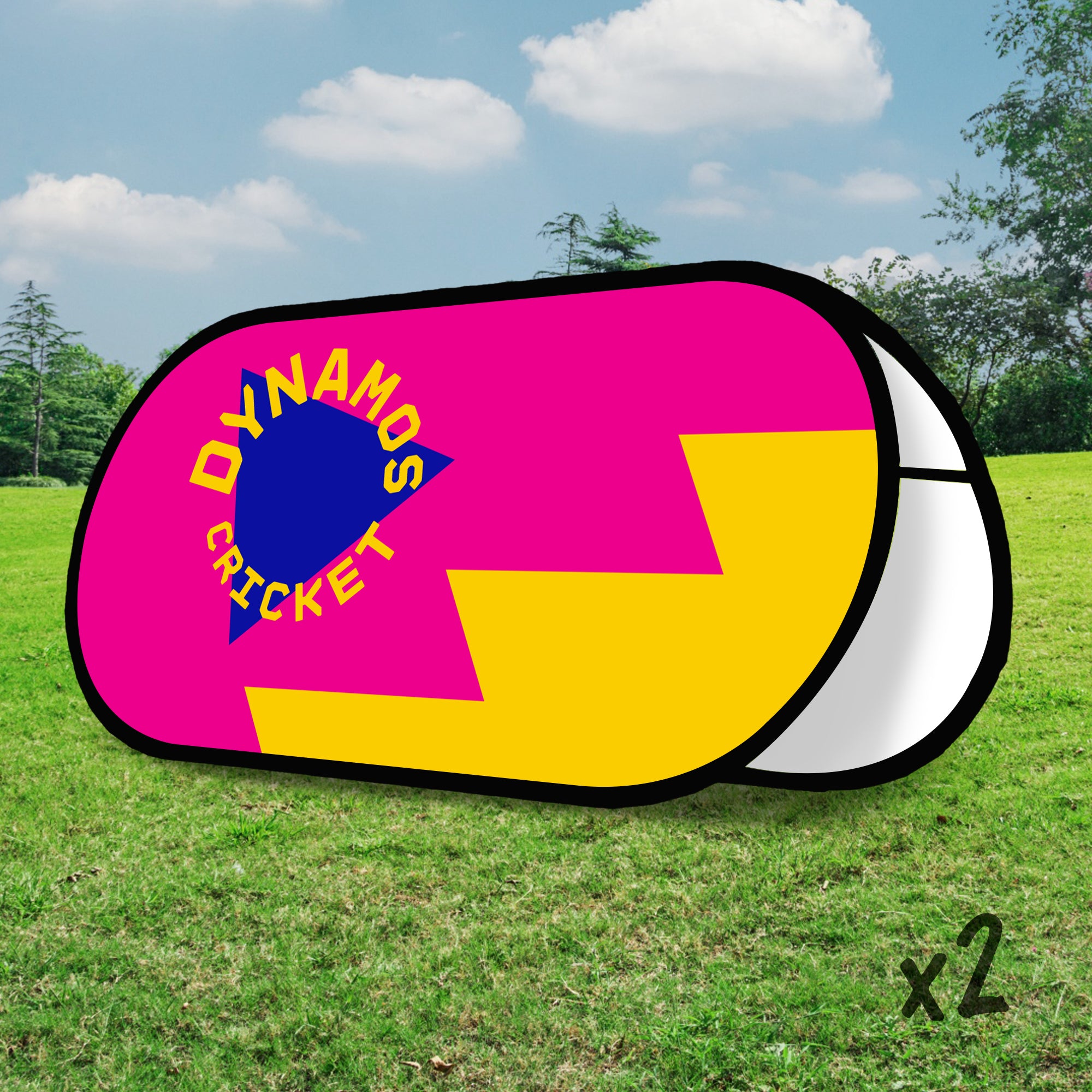 Dynamos Cricket Pop Up Banner - Pack of 2